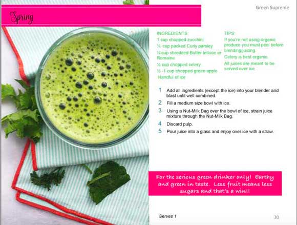 blender juices juicing ebook rosenthal